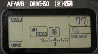 1G LargeFine RAW