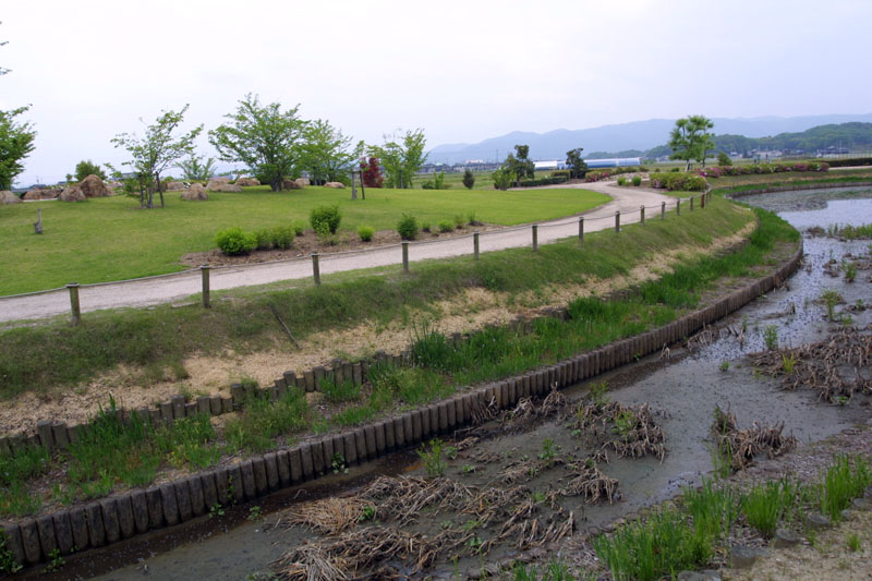 fukuyama