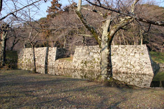 hikone