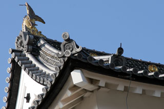 hikone