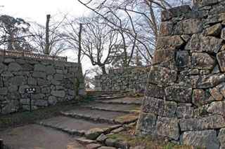 hikone