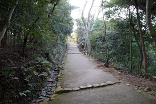 hikone