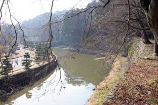hikone