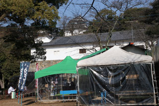 hikone