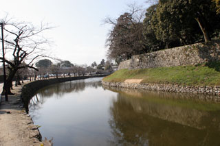 hikone
