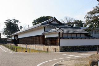 hikone