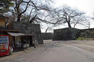 hikone