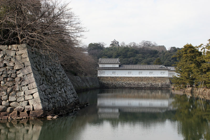 hikone