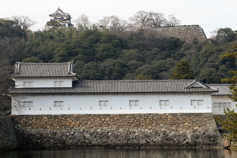 hikone