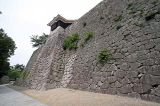 hachiman