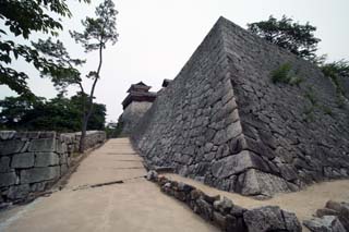 hachiman