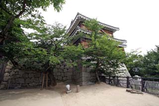 hachiman