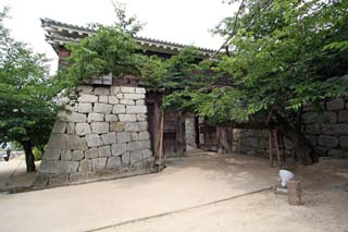 hachiman