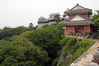 hachiman