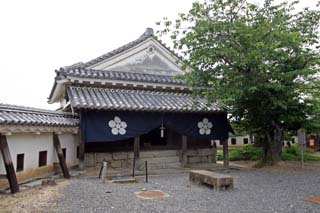 hachiman