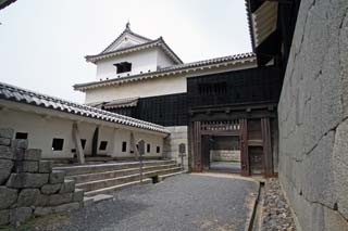 hachiman