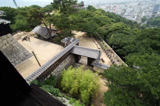 hachiman