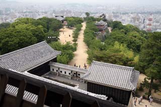 hachiman