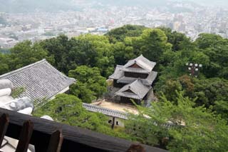 hachiman