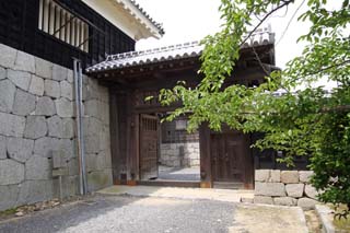 hachiman
