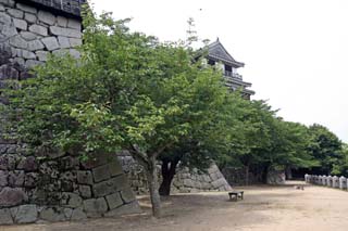 hachiman