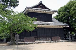 hachiman