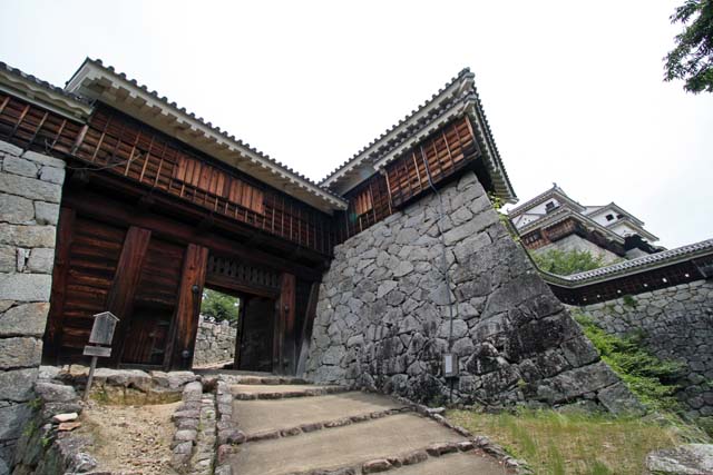 hachiman