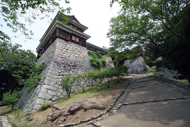 hachiman