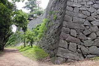 hachiman