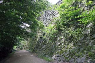 hachiman