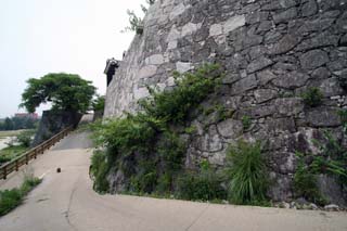 hachiman