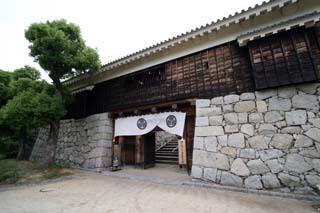 hachiman