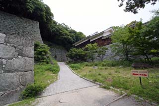 hachiman