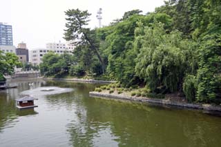 hachiman