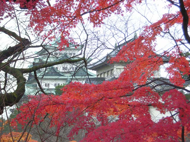 nagoya
