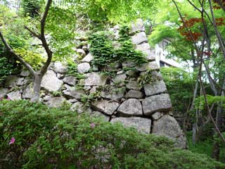 hachiman