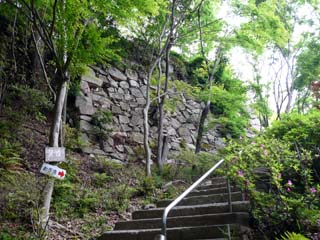 hachiman
