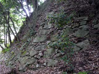 hachiman