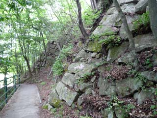 hachiman