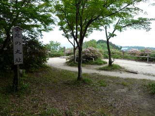 hachiman