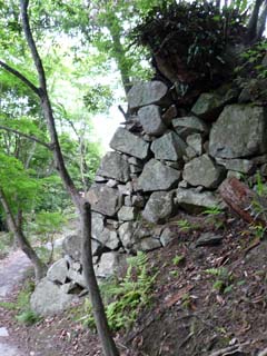 hachiman