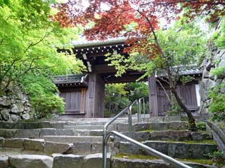 hachiman