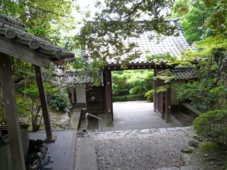 hachiman