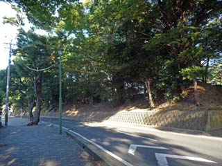 yoshida