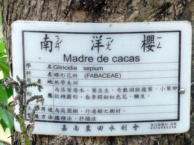 TAIWAN