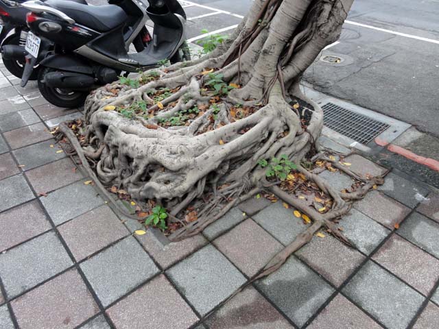 TAIWAN
